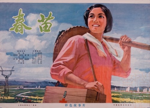 台湾护照电子版怎么制作